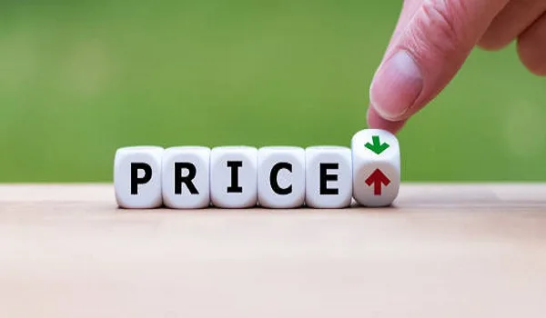 Sipani City Pre Launch Price